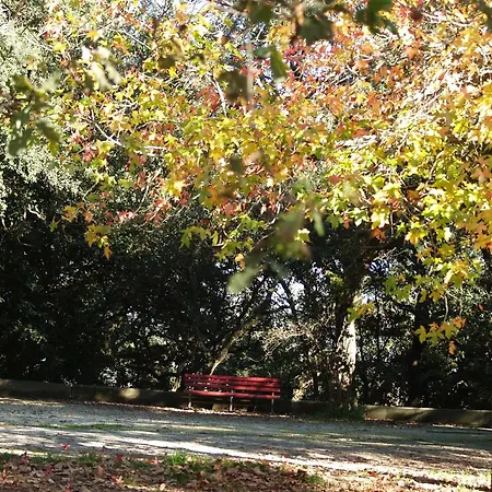 Covelo Park * 波尔图