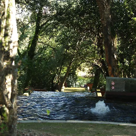 Semesterbostad Covelo Park