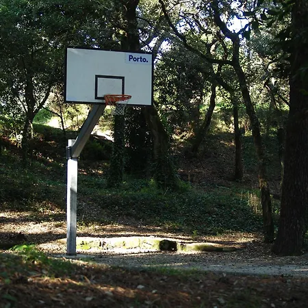 Covelo Park 波尔图