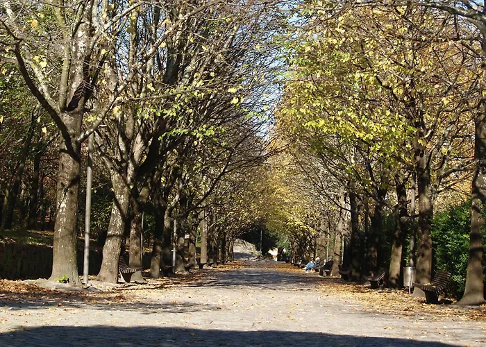 Σπίτι διακοπών Covelo Park