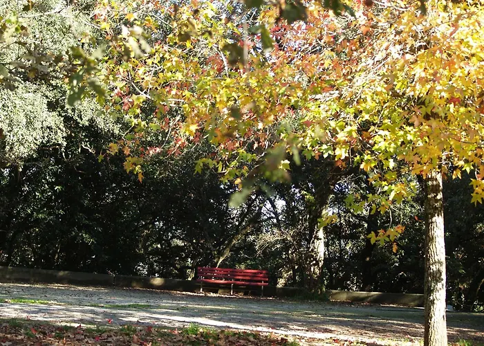 Covelo Park * Oporto