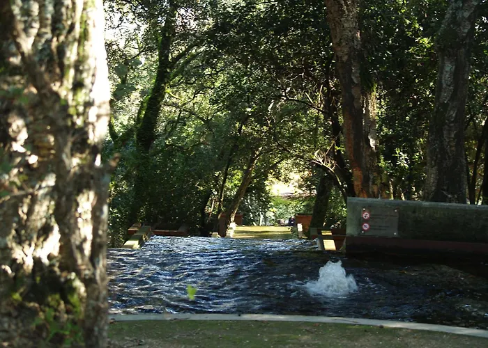 Semesterbostad Covelo Park