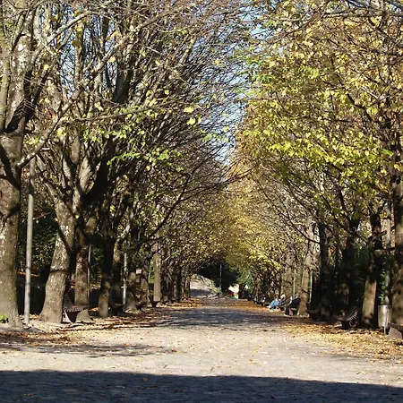 Casa de Férias Covelo Park
