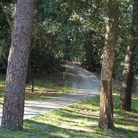 Covelo Park *