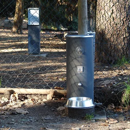 Covelo Park Porto