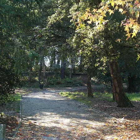 Casa de Férias Covelo Park *