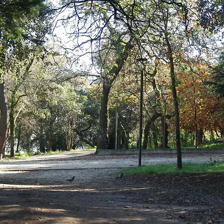Covelo Park Casa de Férias Porto