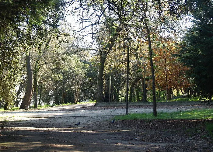 Covelo Park Feriehus Porto